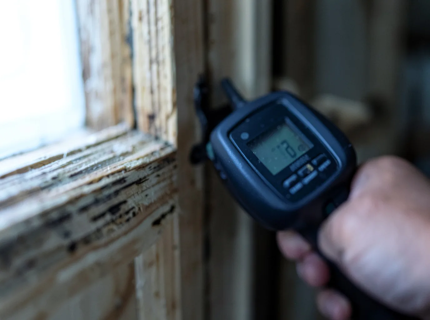 Water Damage Restoration Black River, MI FAQs
